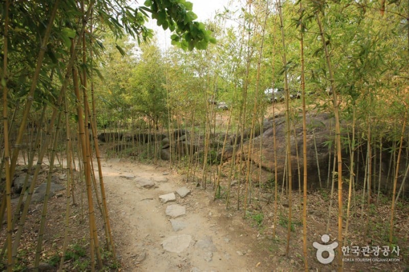 Choi Champandaek  (29/49)