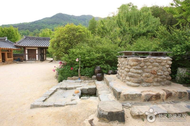 Choi Champandaek  (31/49)