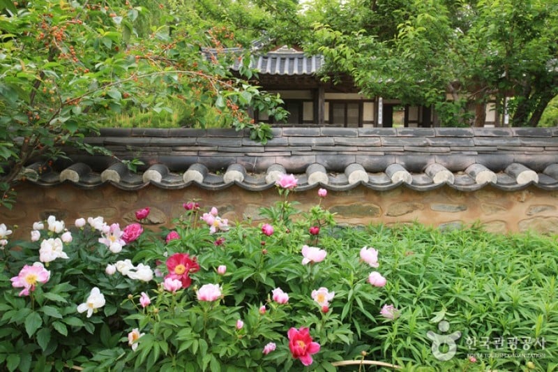 Choi Champandaek  (37/49)