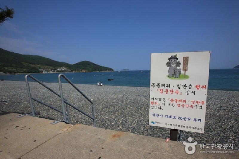 Hakdong Mongdol Beach  (11/14)