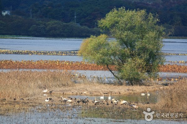 Junam Reservoir