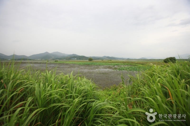 Junam Reservoir  (1/24)