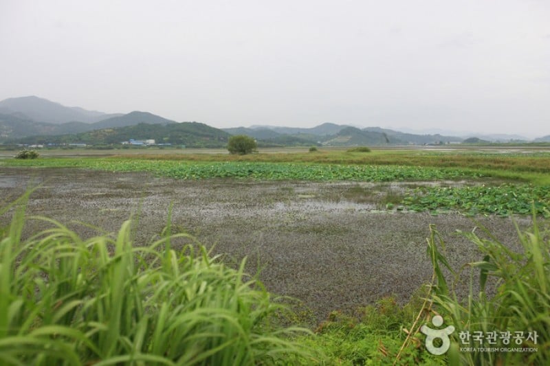 Junam Reservoir  (2/24)