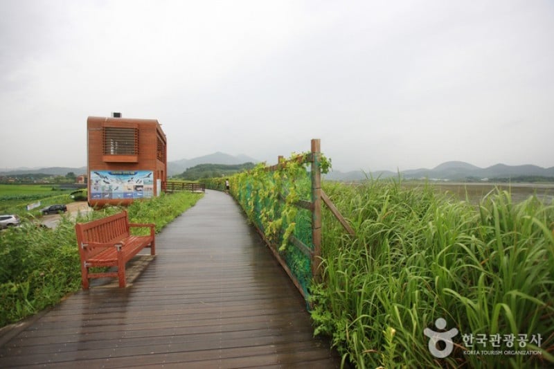Junam Reservoir  (3/24)