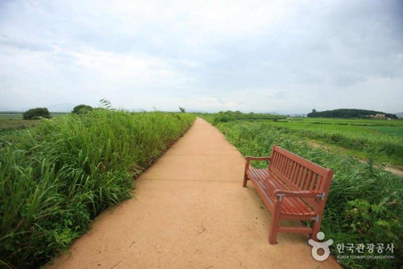 Junam Reservoir  (4/24)