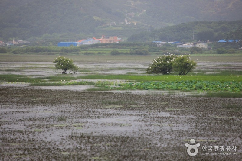 Junam Reservoir  (5/24)