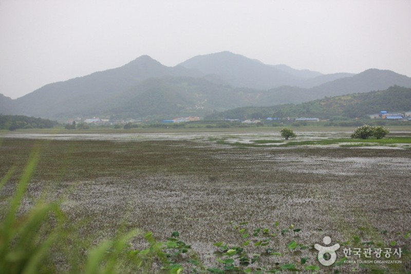 Junam Reservoir  (6/24)