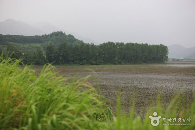 Junam Reservoir  (7/24)