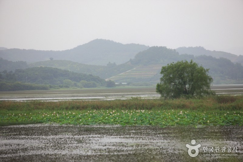 Junam Reservoir  (8/24)