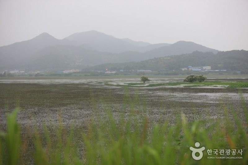 Junam Reservoir  (10/24)