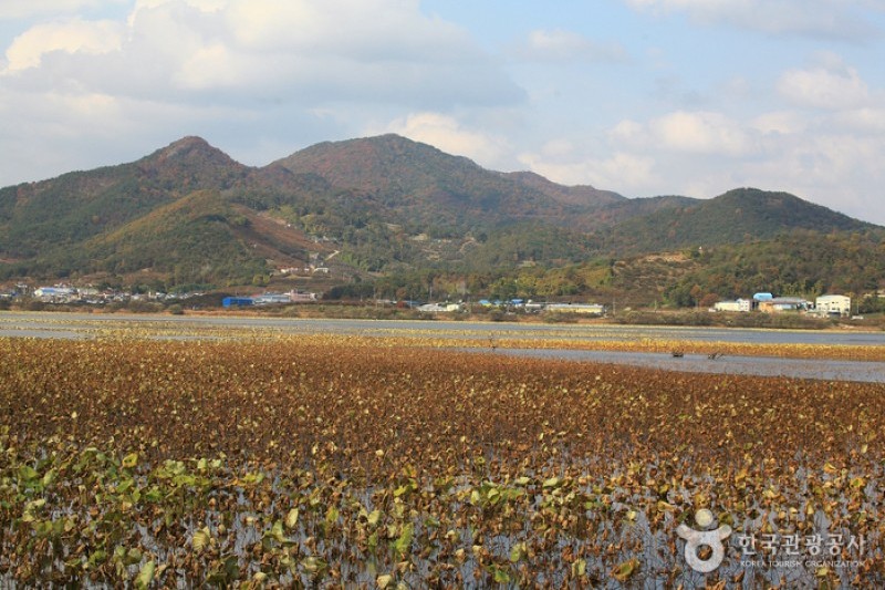 Junam Reservoir  (11/24)