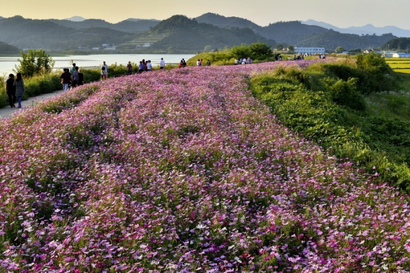 Junam Reservoir  (14/24)