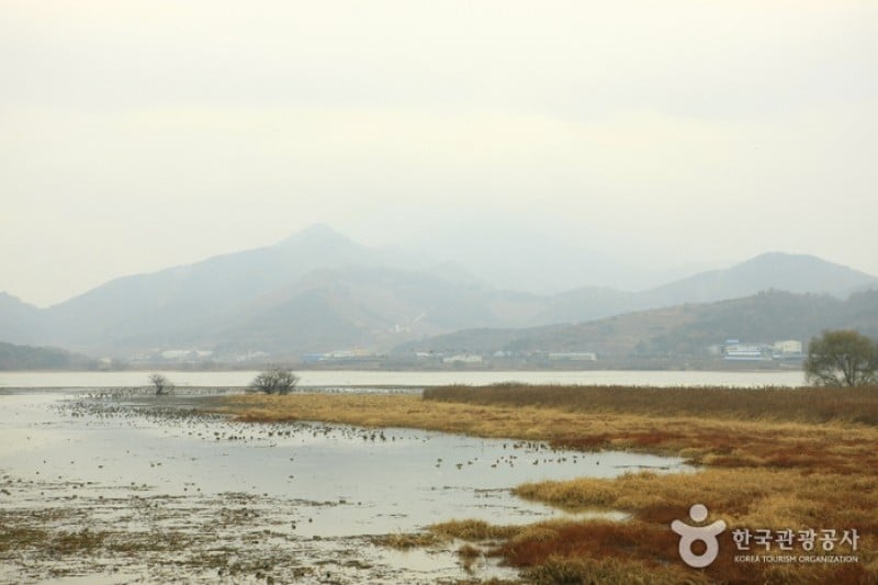 Junam Reservoir  (17/24)