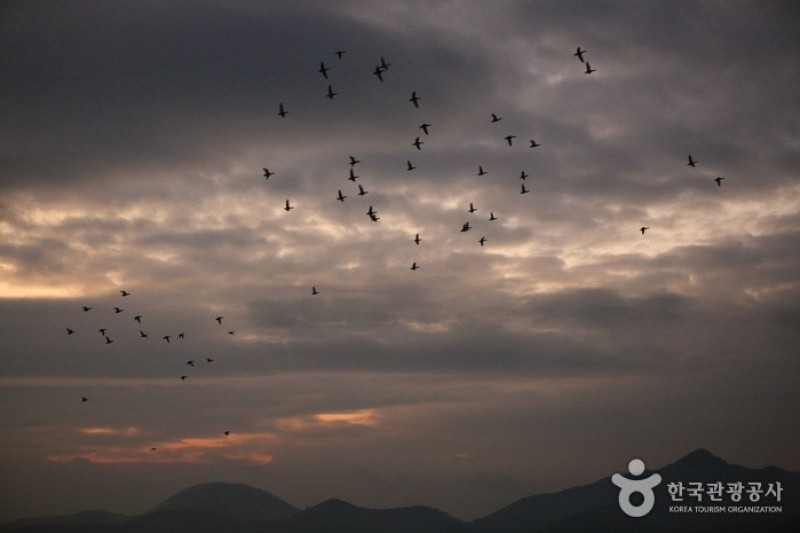 Junam Reservoir  (18/24)