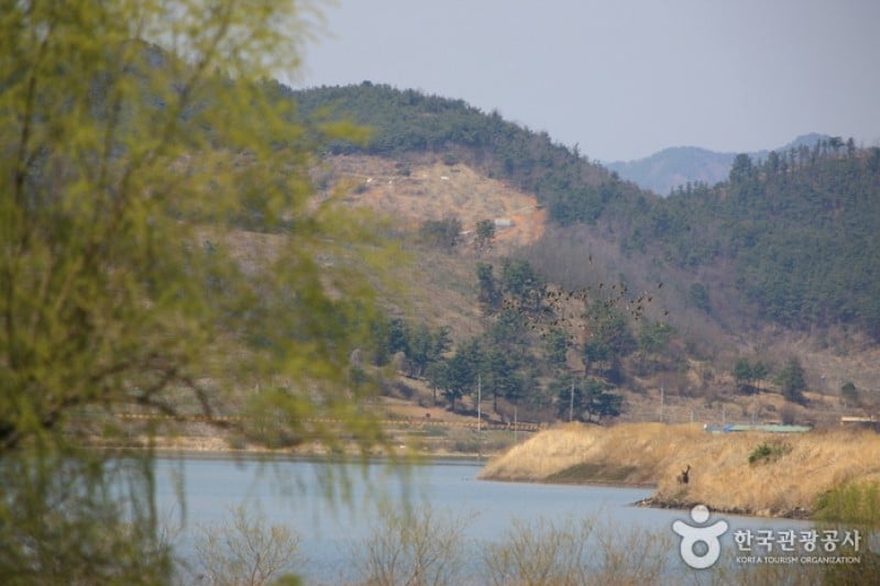 Junam Reservoir  (23/24)