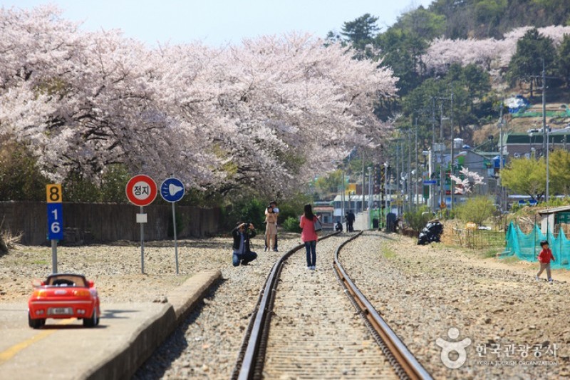 Gyeonghwa Station  (1/19)