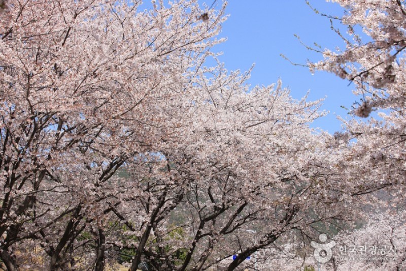 Gyeonghwa Station  (2/19)