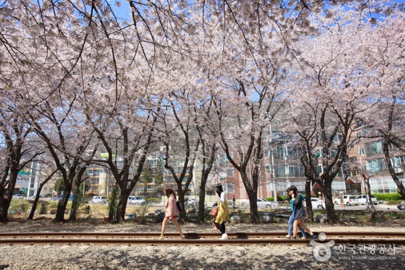 Gyeonghwa Station  (3/19)