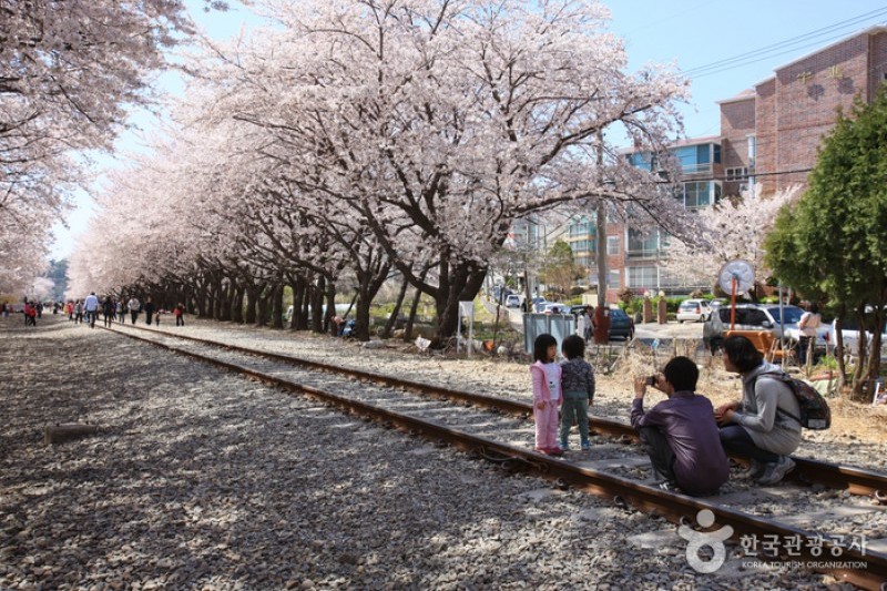Gyeonghwa Station  (5/19)