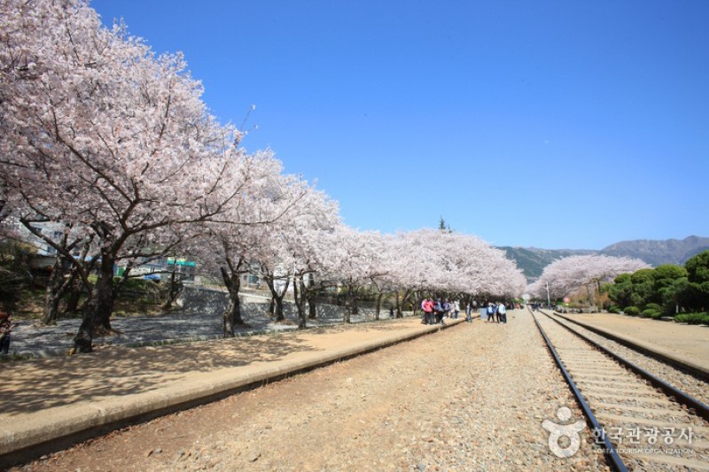 Gyeonghwa Station  (13/19)