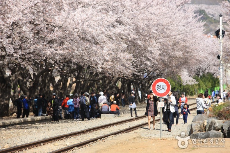 Gyeonghwa Station  (15/19)