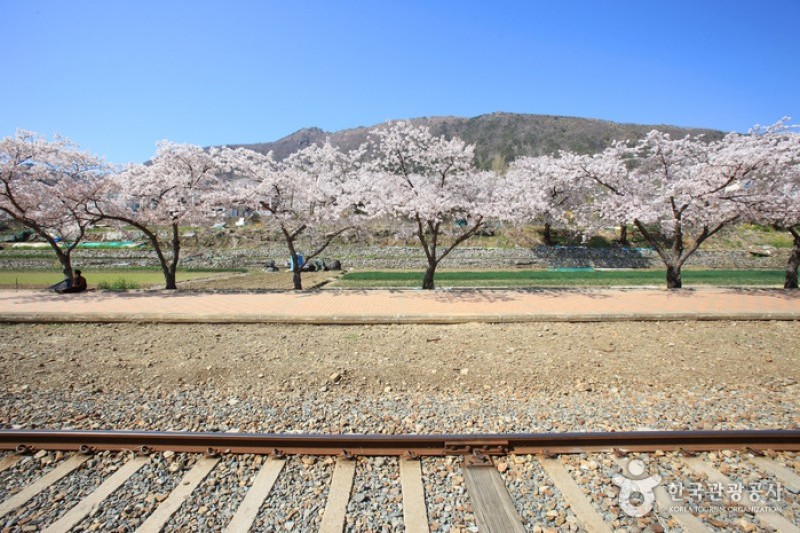 Gyeonghwa Station  (16/19)