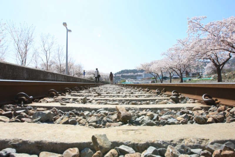 Gyeonghwa Station  (17/19)