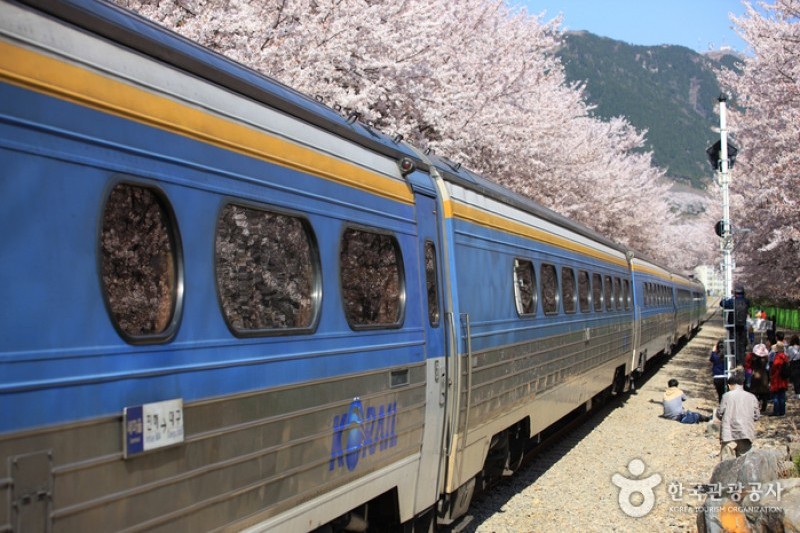 Gyeonghwa Station  (18/19)