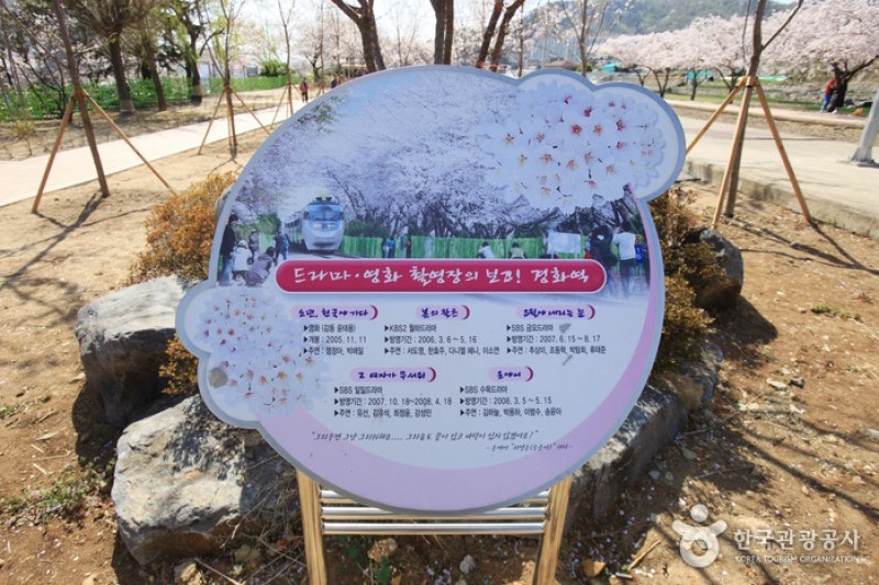 Gyeonghwa Station  (19/19)