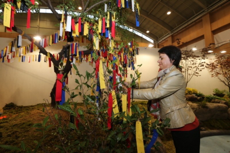 Sancheong Medicinal Herb Festival  (1/2)