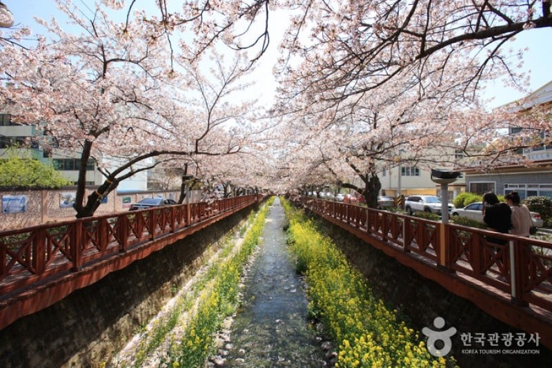 Yeojwacheon Stream  (2/16)