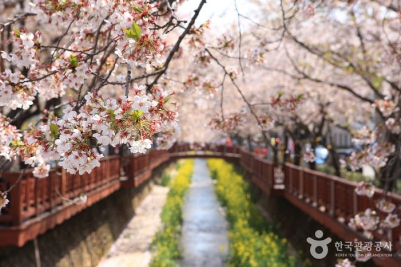 Yeojwacheon Stream  (3/16)