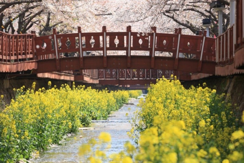 Yeojwacheon Stream  (5/16)