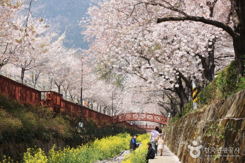 Yeojwacheon Stream  (6/16)