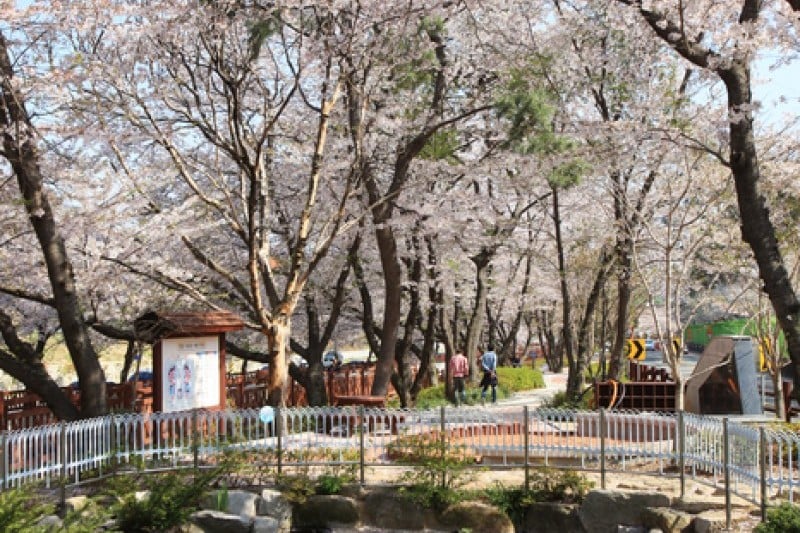 Yeojwacheon Stream  (9/16)