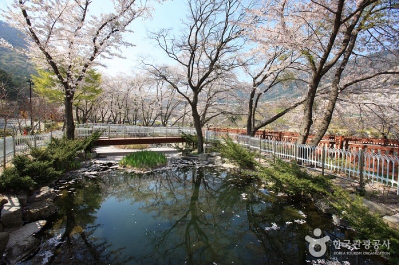 Yeojwacheon Stream  (10/16)