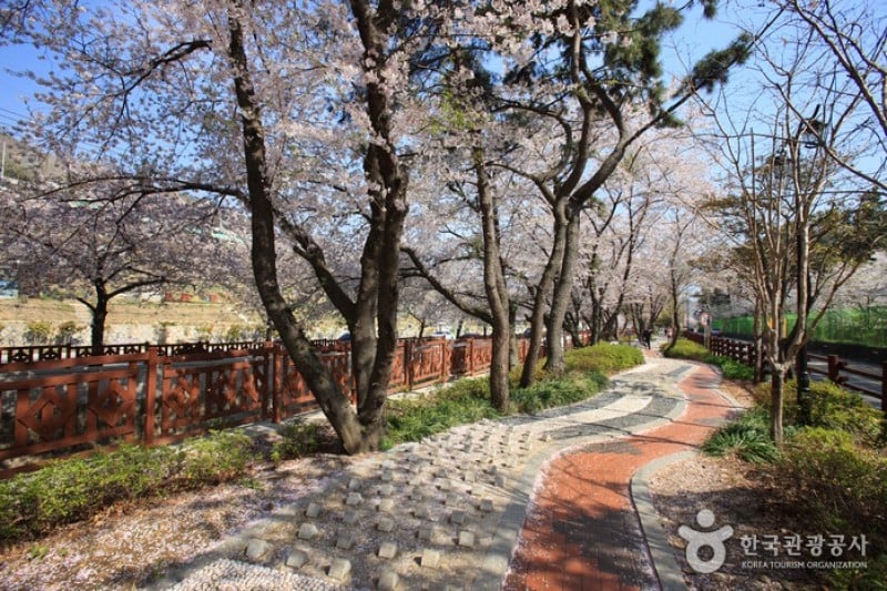 Yeojwacheon Stream  (11/16)