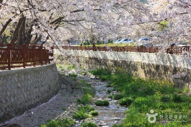 Yeojwacheon Stream  (13/16)