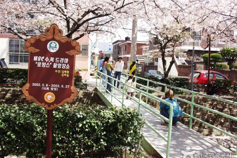 Yeojwacheon Stream  (14/16)