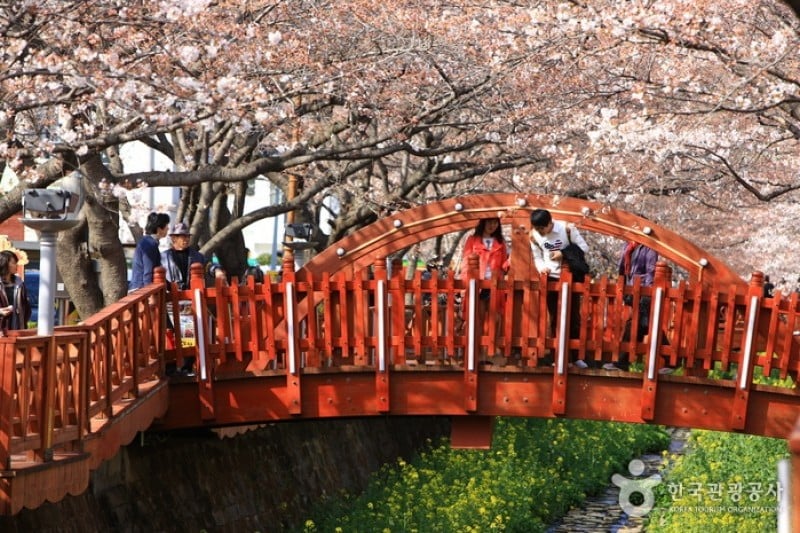 Yeojwacheon Stream  (15/16)