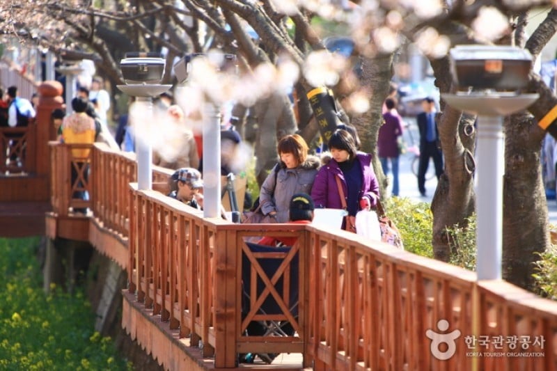 Yeojwacheon Stream  (16/16)