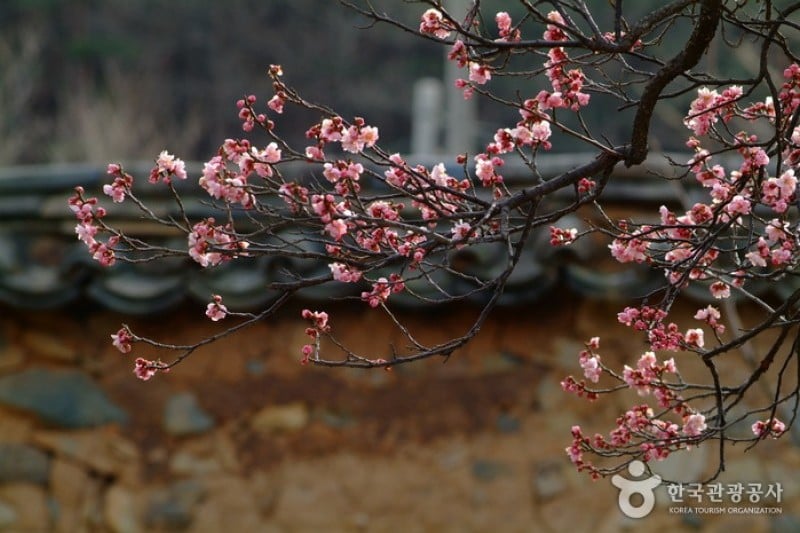 Namsa Yedamchon Village  (3/42)