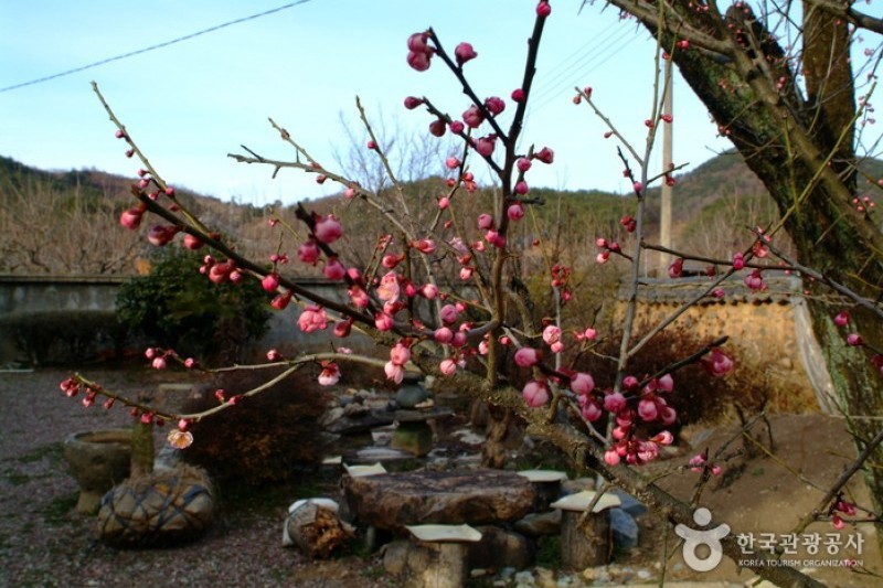 Namsa Yedamchon Village  (7/42)
