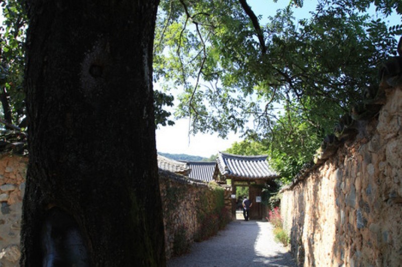 Namsa Yedamchon Village  (39/42)