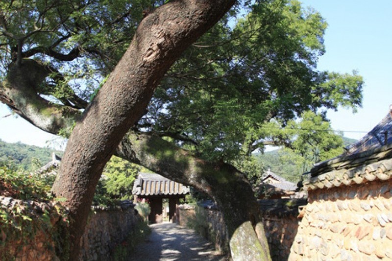Namsa Yedamchon Village  (42/42)