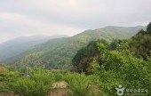 Jirisan National Park 