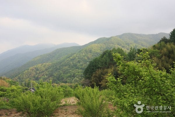 Jirisan National Park