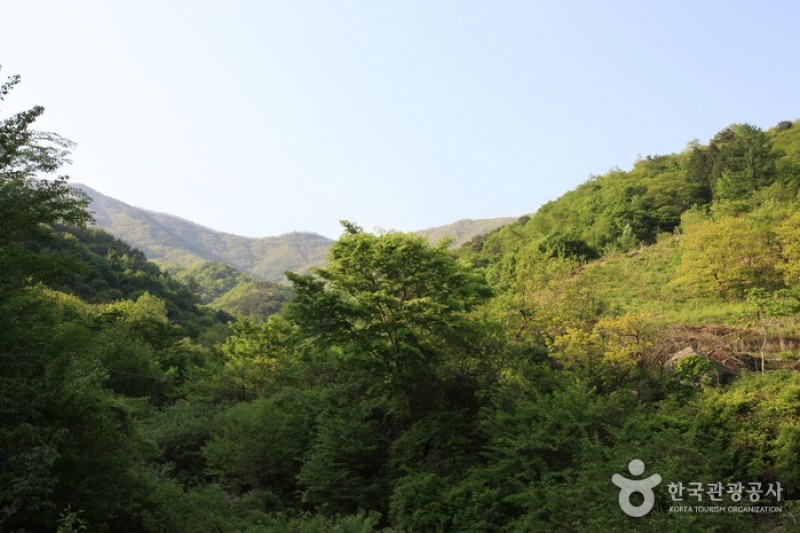 Jirisan National Park  (3/11)