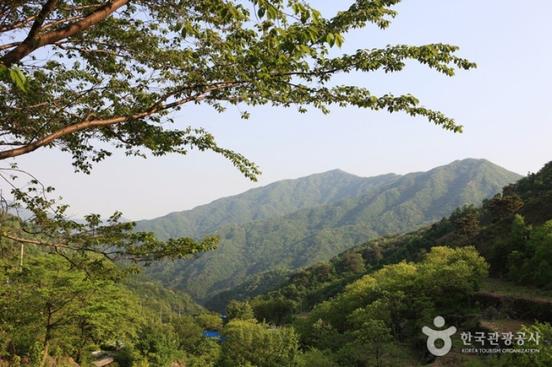 Jirisan National Park  (4/11)