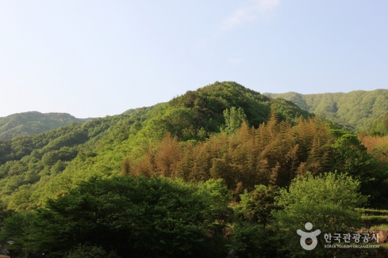 Jirisan National Park  (6/11)